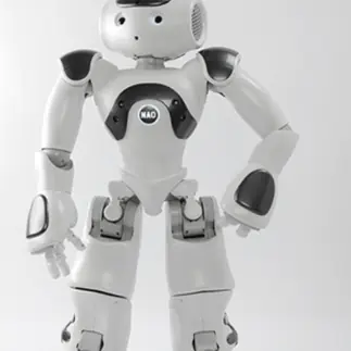 NAO Maxtronics (Maxvision; ex-Aldebaran)
